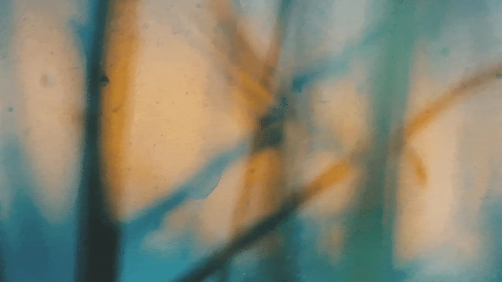 Immersive ambient window loop